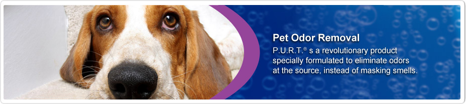 Pet Urine Odour Removal - Chem-Dry Wicklow Wexford